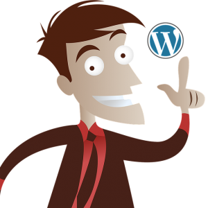 plugin wajib di wordpress