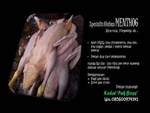 jurnal syukur menulis untuk pulih