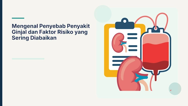 penyebab penyakit ginjal